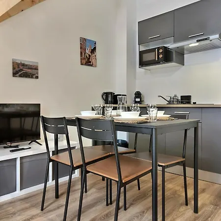 Les Nature - 2 - Hyper Centre Apartment Albi